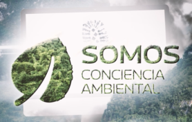 Somos Conciencia Ambiental