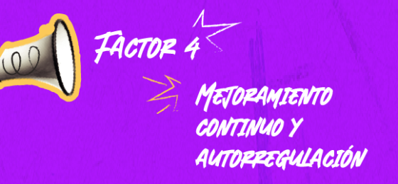 Factor 4: Mejoramiento Continuo y Autoregulación